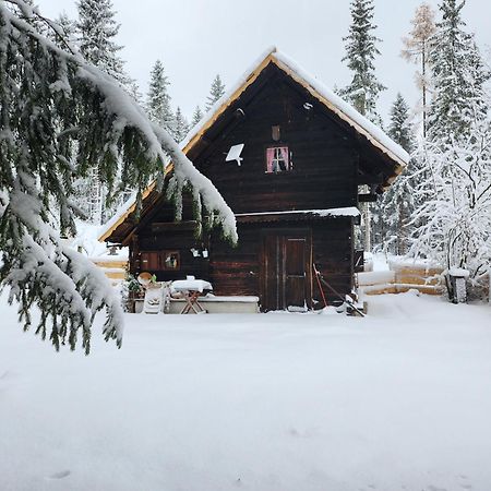 Appartement Urige Waldbienenhuette à Diex Extérieur photo