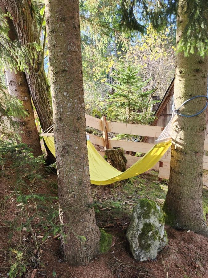 Appartement Urige Waldbienenhuette à Diex Extérieur photo