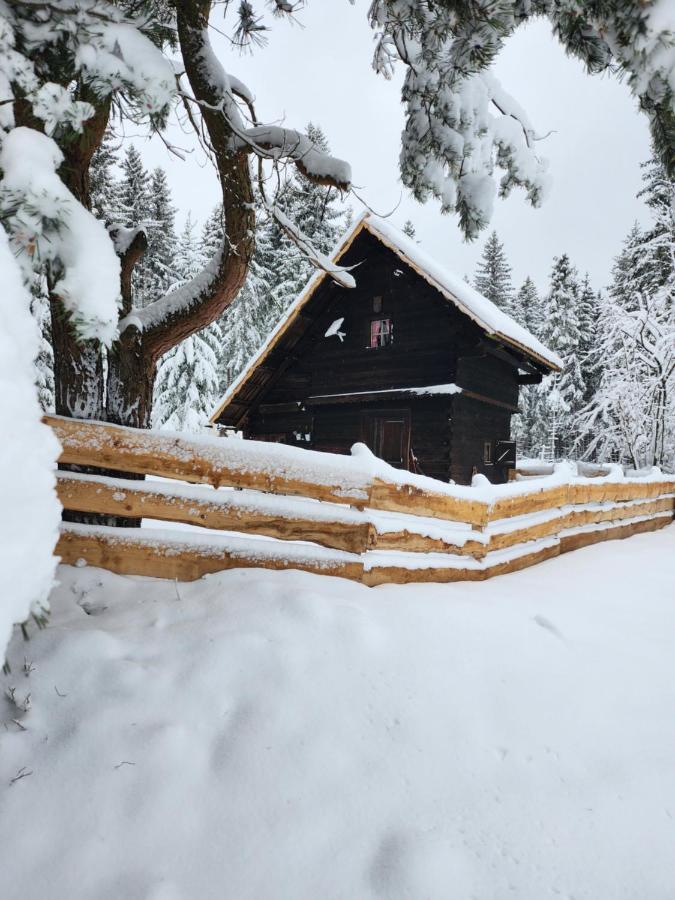 Appartement Urige Waldbienenhuette à Diex Extérieur photo