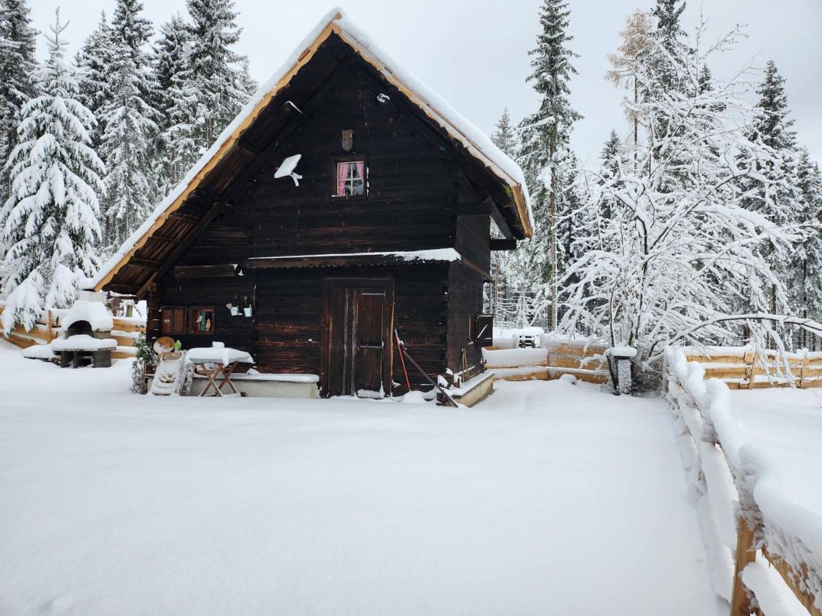 Appartement Urige Waldbienenhuette à Diex Extérieur photo