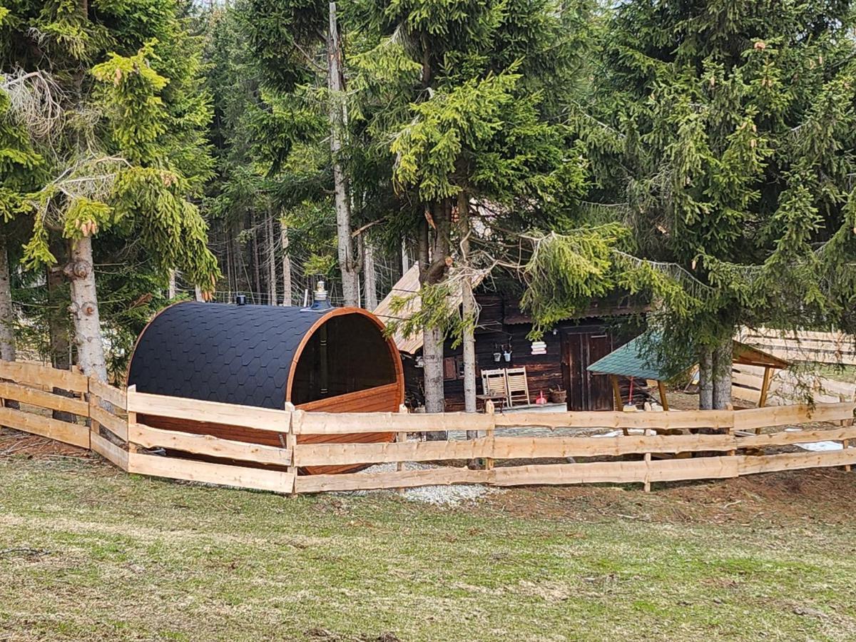 Appartement Urige Waldbienenhuette à Diex Extérieur photo